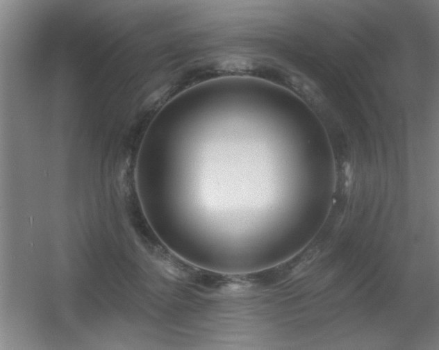 X0000055990364200508221303