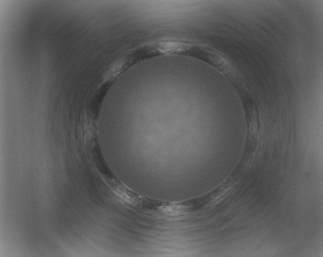 X0000055990367200508221303