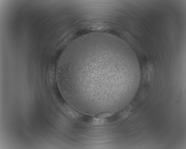 X0000055990376200508221303