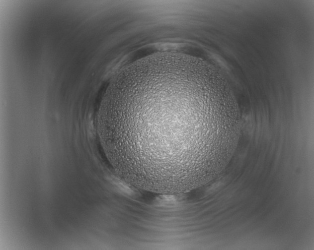 X0000055990381200508221303