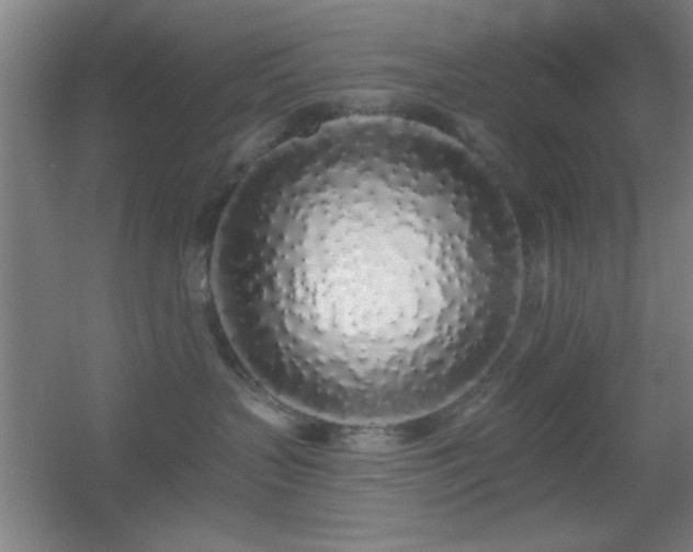 X0000055990383200508221303