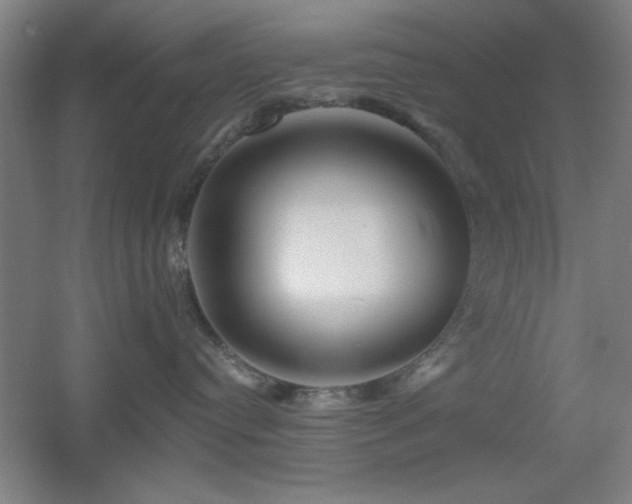 X0000055990384200508221303