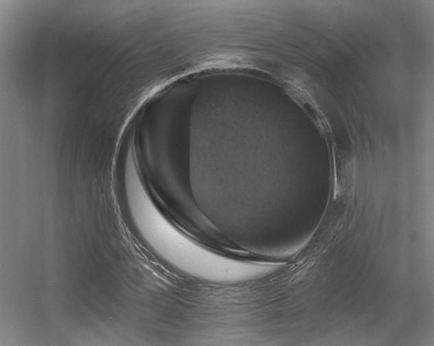 X0000055990387200508221302