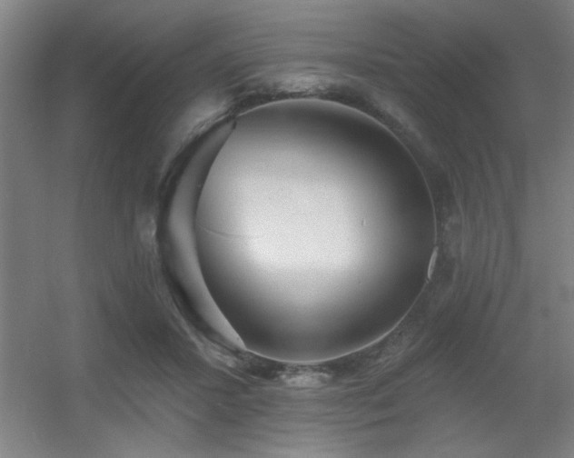 X0000055990407200508221302