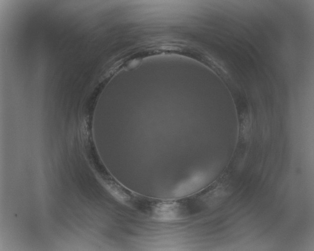 X0000055990410200508221302