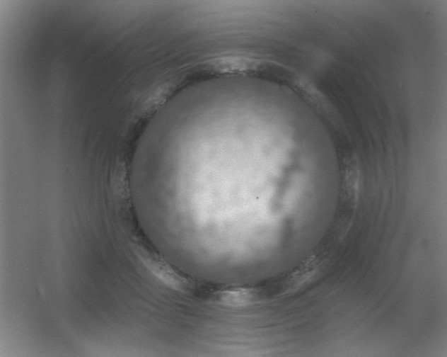 X0000055990411200508221302