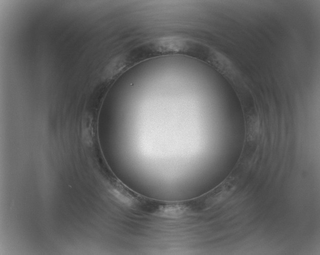 X0000055990414200508221302