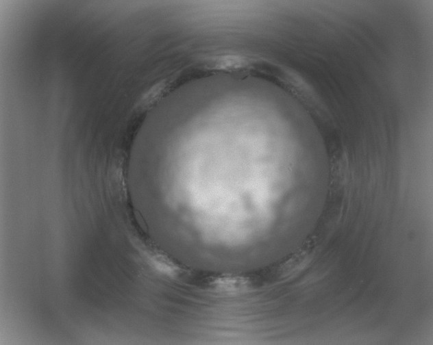 X0000055990415200508221302
