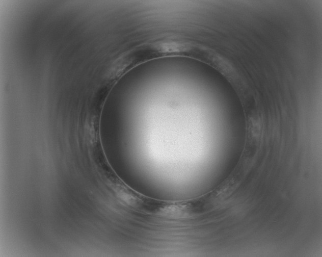 X0000055990422200508221301