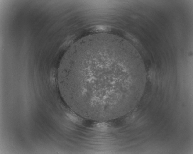 X0000055990423200508221301