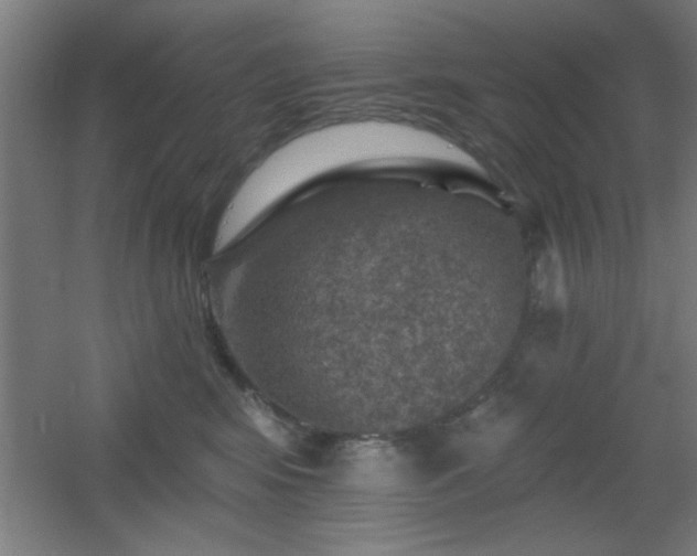 X0000055990424200508221301