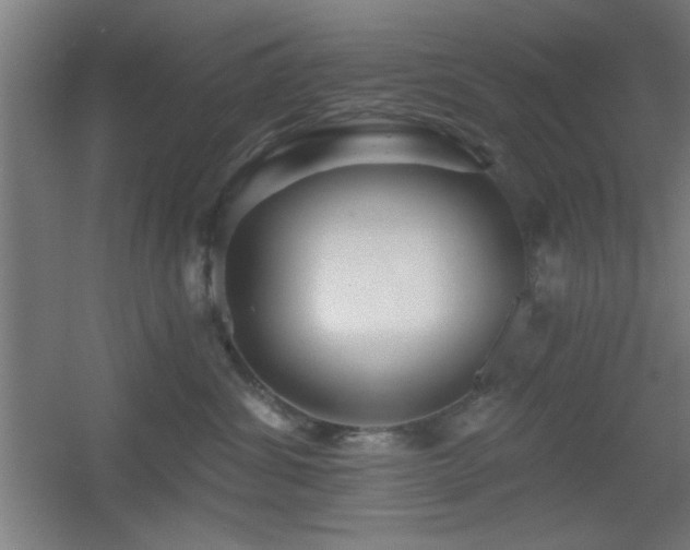 X0000055990428200508221301