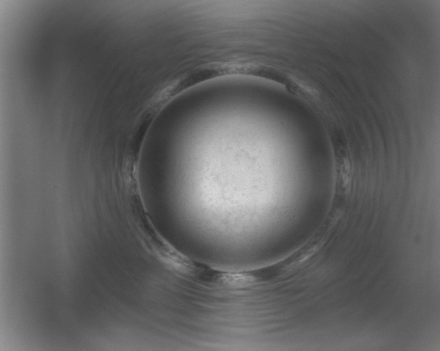 X0000055990429200508221301