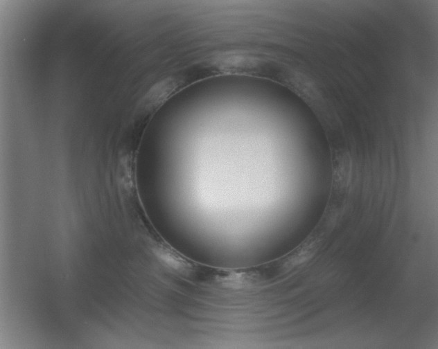 X0000055990430200508221301