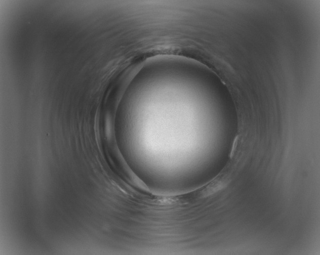 X0000055990432200508221301