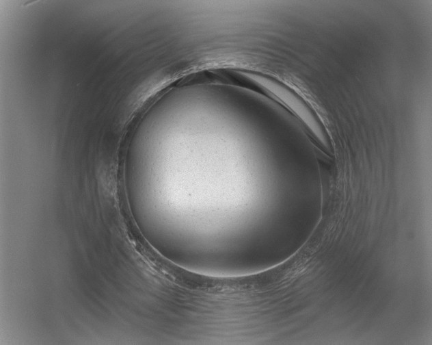 X0000055990434200508221300