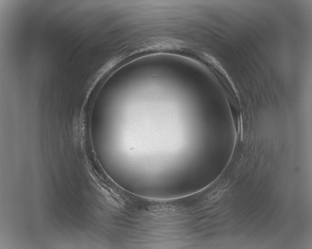 X0000055990435200508221301