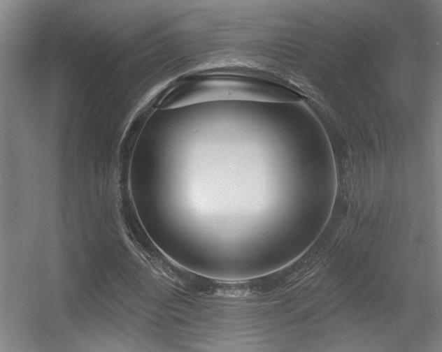 X0000055990440200508221301