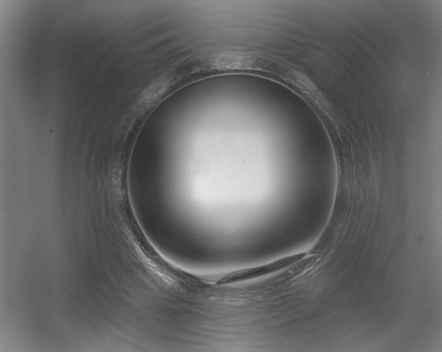 X0000055990441200508221301