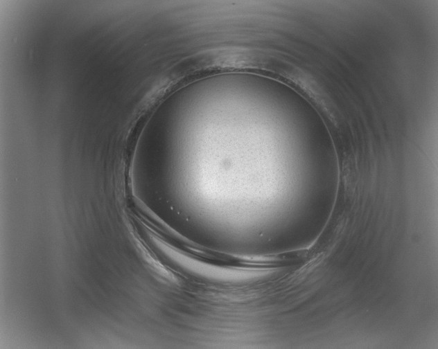 X0000055990445200508221301