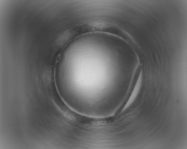 X0000055990451200508221301