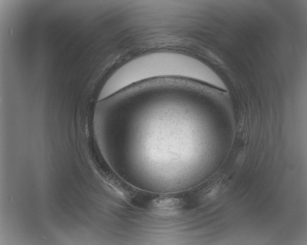X0000055990452200508221301