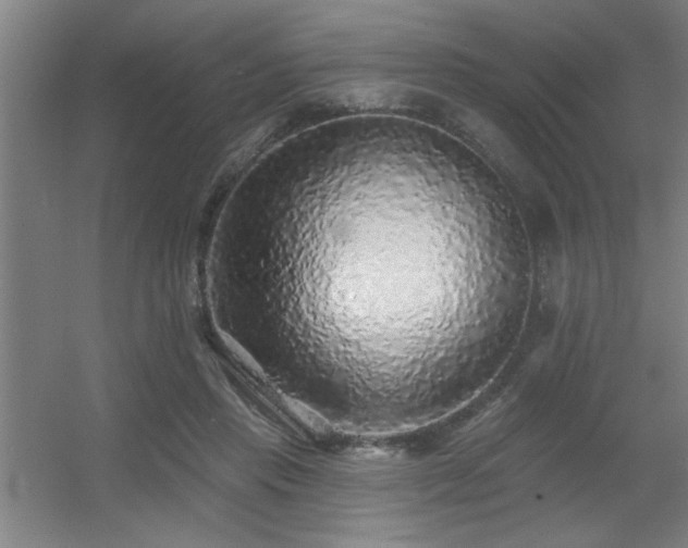 X0000055990453200508221301