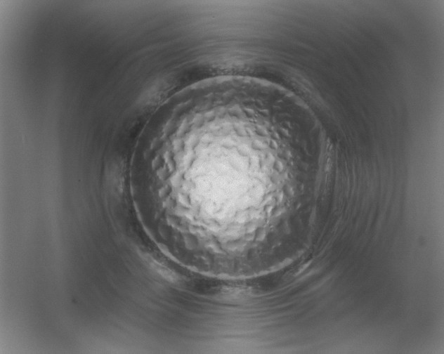 X0000055990458200508221301