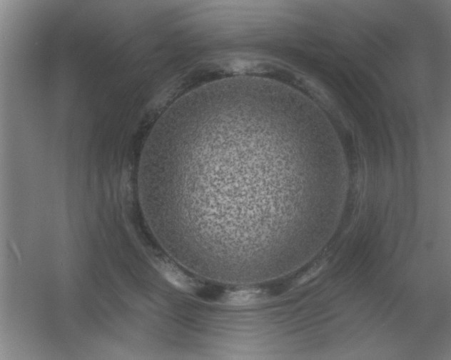 X0000055990461200508221301