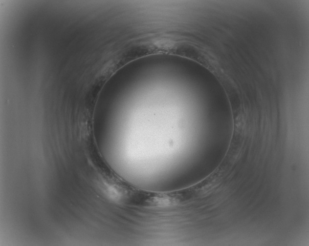 X0000055990464200508221301