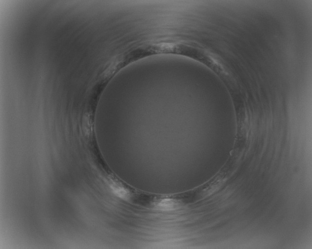 X0000055990467200508221301
