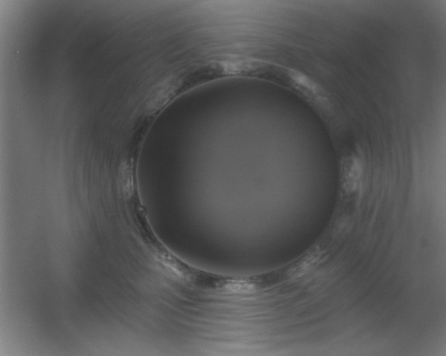 X0000055990471200508221301
