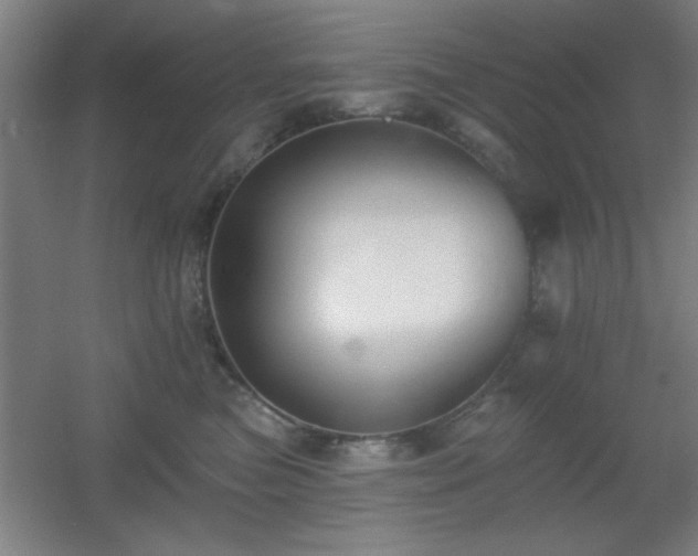 X0000055990473200508221301