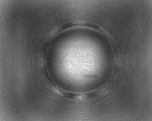 X0000055990474200508221301