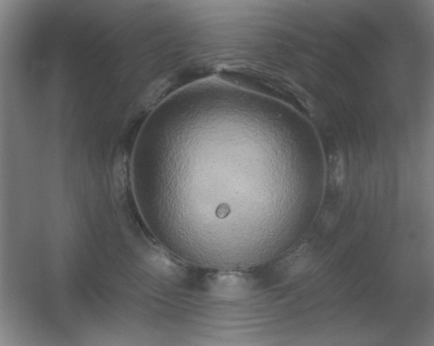 X0000055990475200508221301
