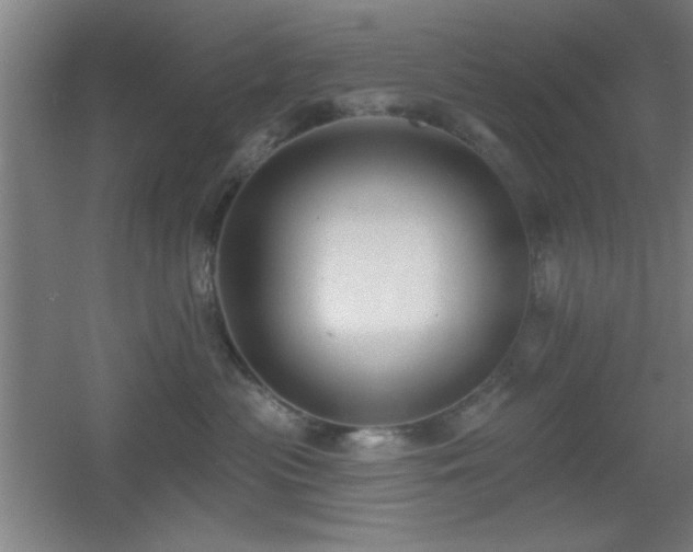 X0000055990477200508221301