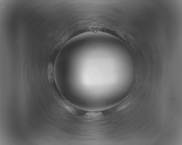 X0000055990480200508221301