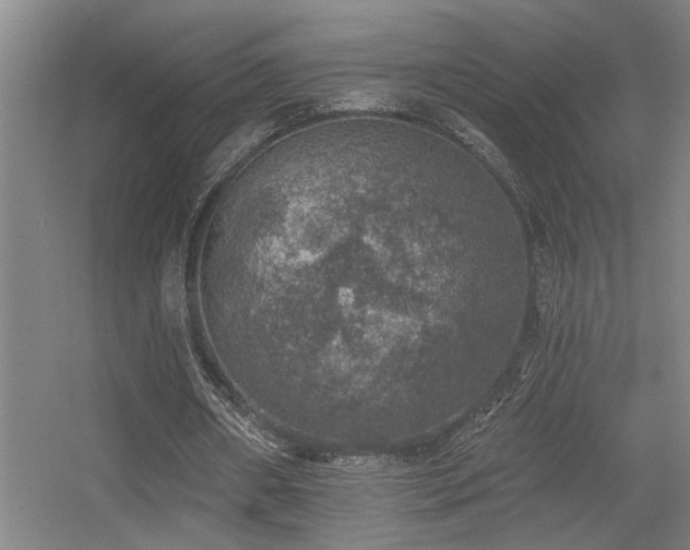 X0000055990482200508221300