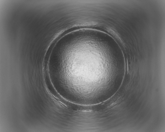 X0000055990483200508221300