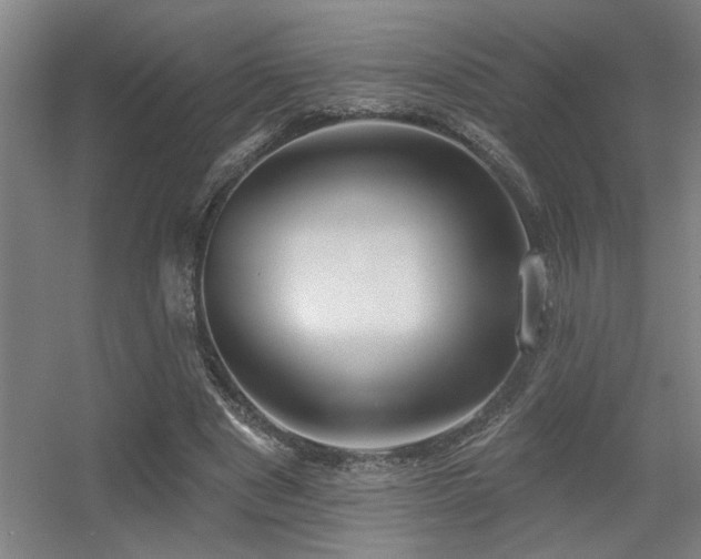X0000055990489200508221300