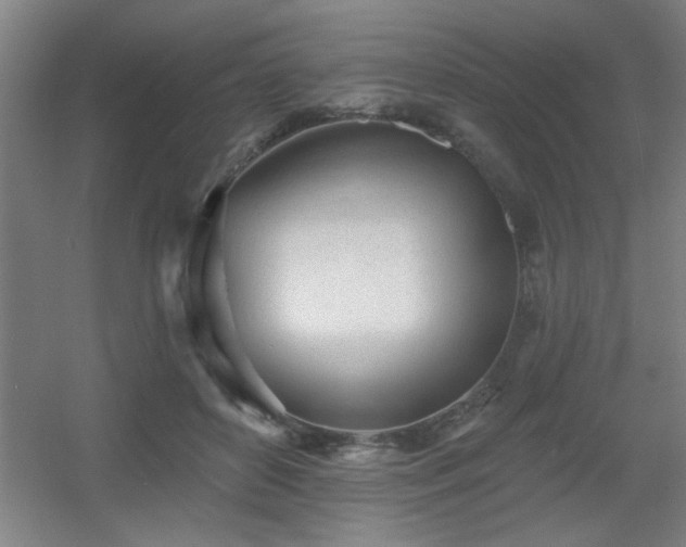 X0000055990504200508221300
