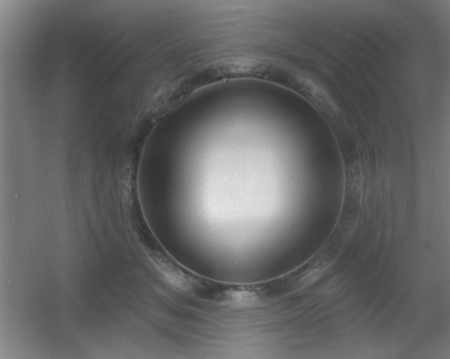 X0000055990509200508221300