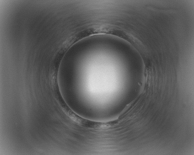 X0000055990513200508221300