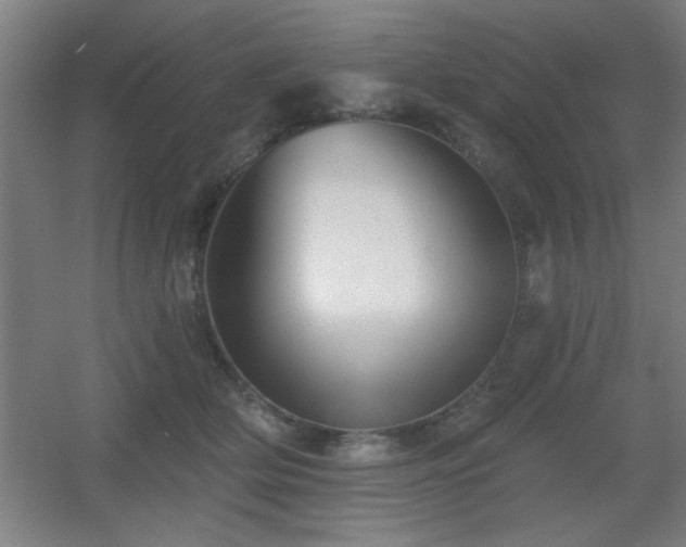X0000055990514200508221300