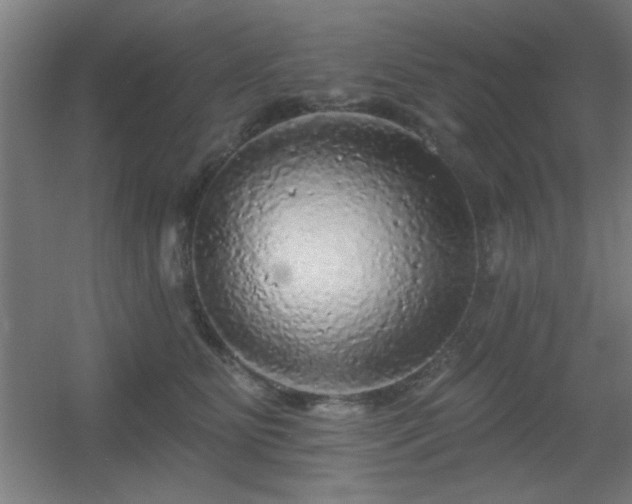 X0000055990515200508221300