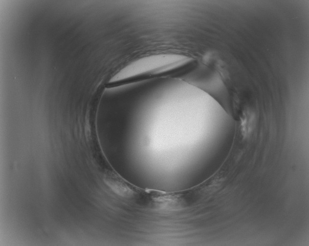 X0000055990516200508221300