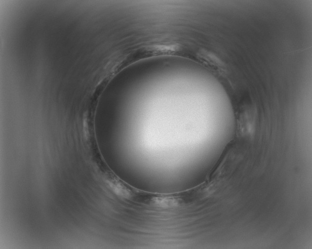 X0000055990520200508221300