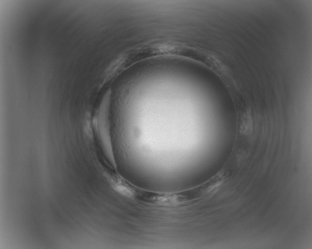 X0000055990524200508221300