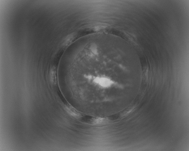 X0000055990527200508221300