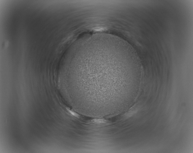X0000055990528200508221300
